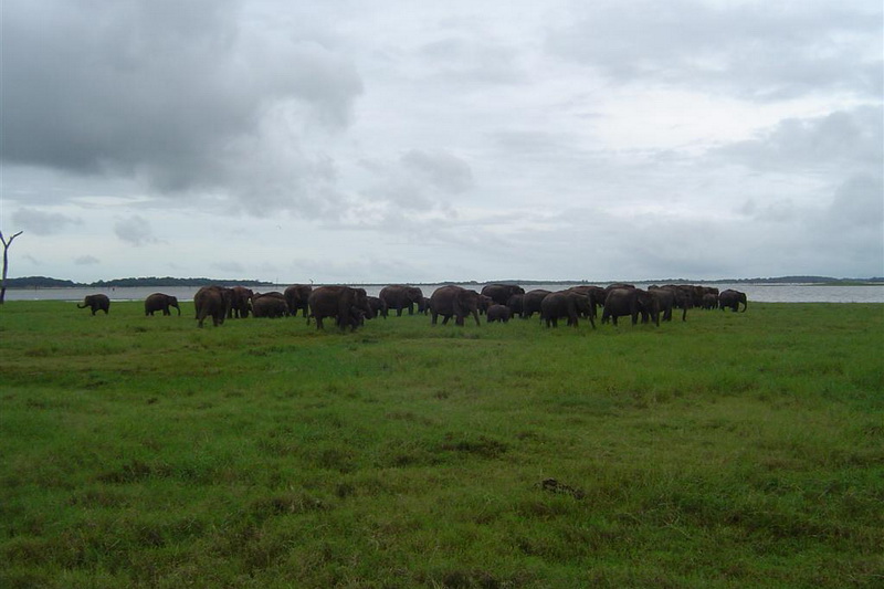 Sri Lanka, National parks